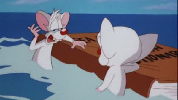 download star warners pinky and the brain download star warners pinky and the brain