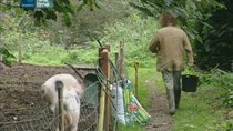 River Cottage Season 1 Episode 1