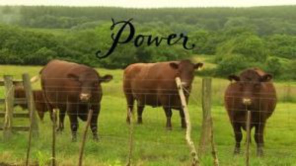 River Cottage Season 16 Episode 5