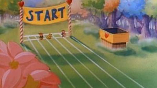 care bears great race