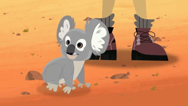 Wild Kratts Season 1 Episode 22