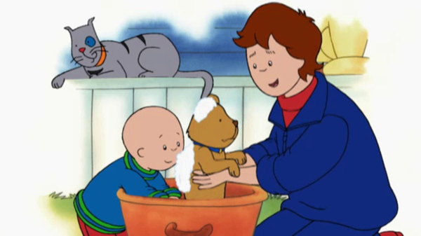 caillou caillou visits the doctor