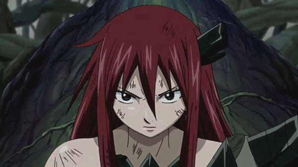 Fairy Tail Episode 114 Watch Fairy Tail E114 Online