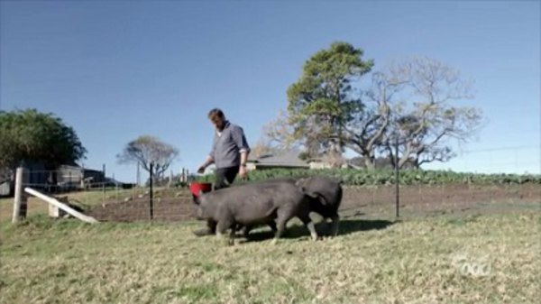 River Cottage Australia Season 3 Episode 1