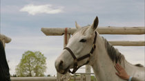 Heartland (CA) episodes