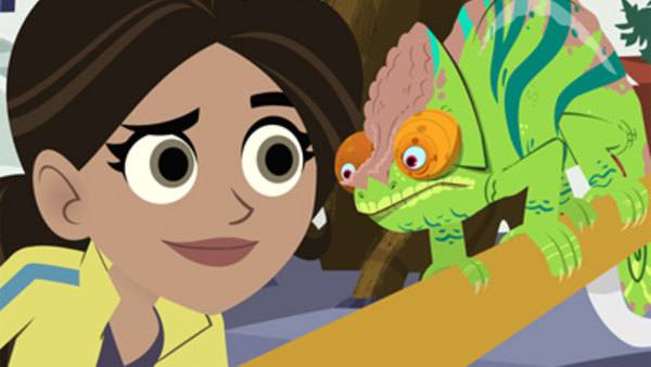 Wild Kratts Season 3 Episode 15