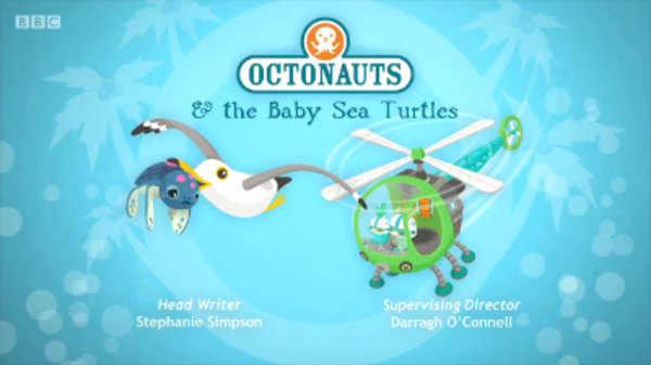 Octonauts creature report baby sea turtle - burgerwolf