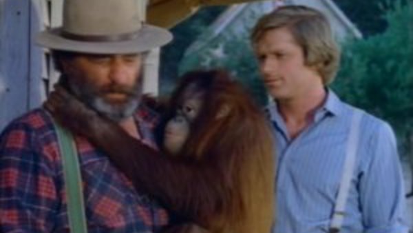 Be Loved In House Ep 9 Little House on the Prairie Season 9 Episode 20