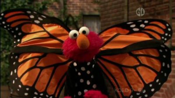 Sesame Street Season 42 Episode 12