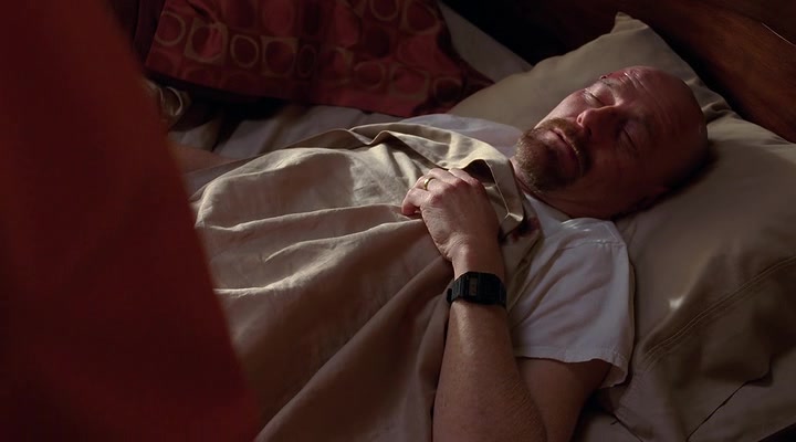 Screenshot of Breaking Bad Season 4 Episode 10 (S04E10)