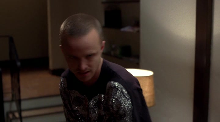 Screenshot of Breaking Bad Season 4 Episode 8 (S04E08)