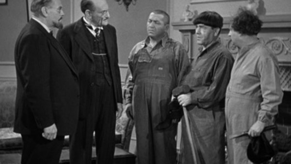 Watch the three stooges episodes online free