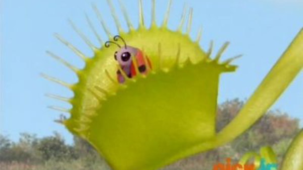 The Wonder Pets a Titles amp Air Dates Guide epguidescom