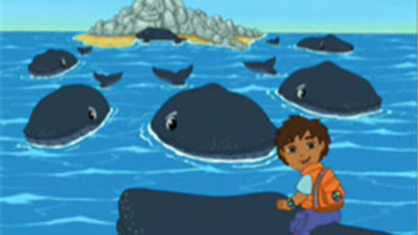 Go, Diego, Go! Season 1 Episode 4