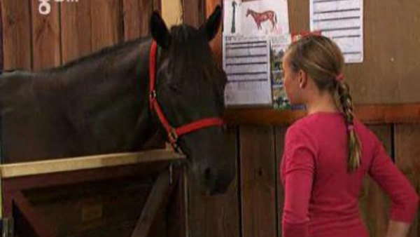The Saddle Club Season 3 Episode 12