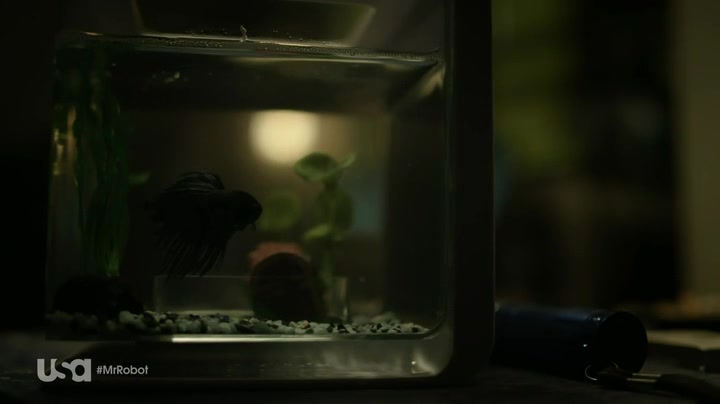 Screenshot of Mr. Robot Season 1 Episode 4 (S01E04)