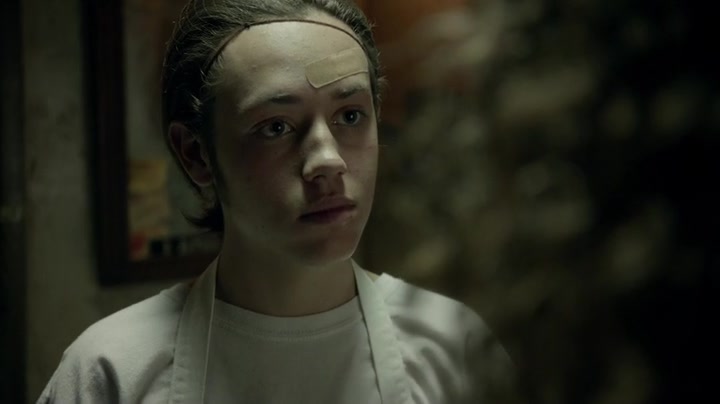 Screencaps of Shameless (US) Season 6 Episode 9
