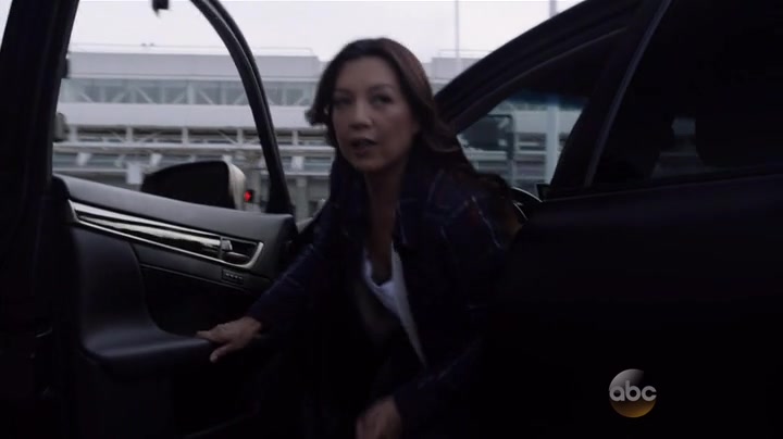 Screenshot of Marvel's Agents of S.H.I.E.L.D. Season 3 Episode 12 (S03E12)