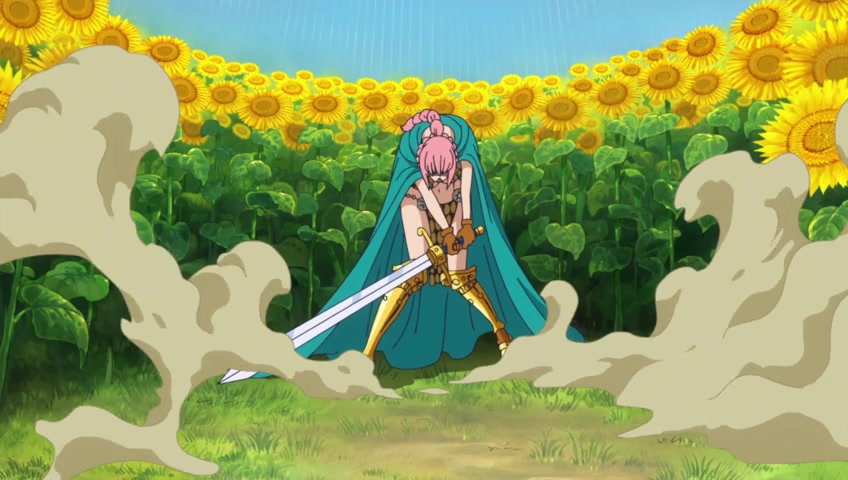 Screenshots Of One Piece Episode 696