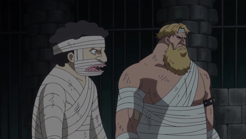 Screenshots Of One Piece Episode 666