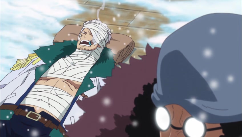 Screenshots Of One Piece Episode 625