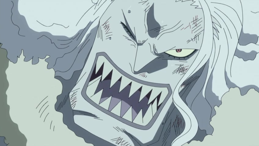 Screenshots Of One Piece Episode 562