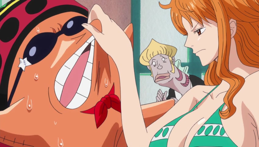 Screenshots Of One Piece Episode 530