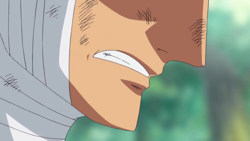 Screenshots Of One Piece Episode 508