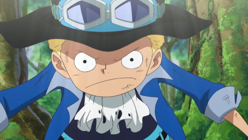 Screenshots Of One Piece Episode 496