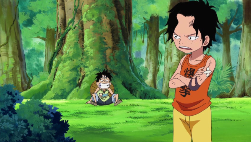 Screenshots Of One Piece Episode 496