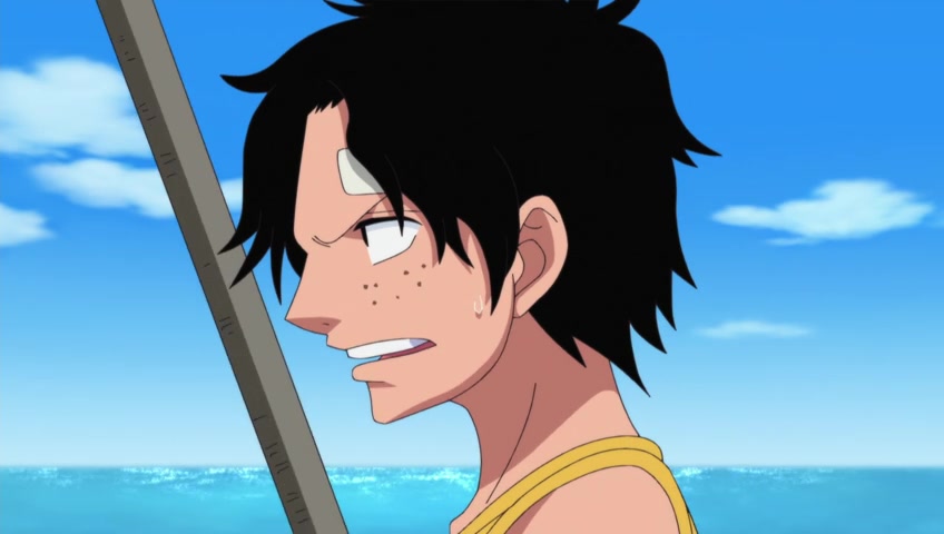 Screenshots Of One Piece Episode 496