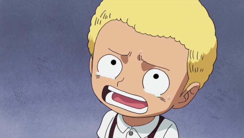 Screenshots Of One Piece Episode 496