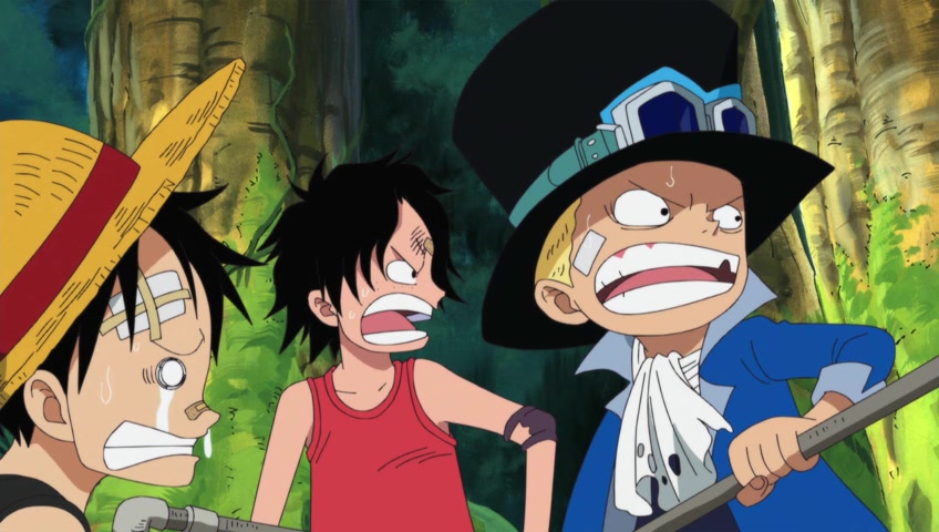 Screenshots of One Piece Episode 494