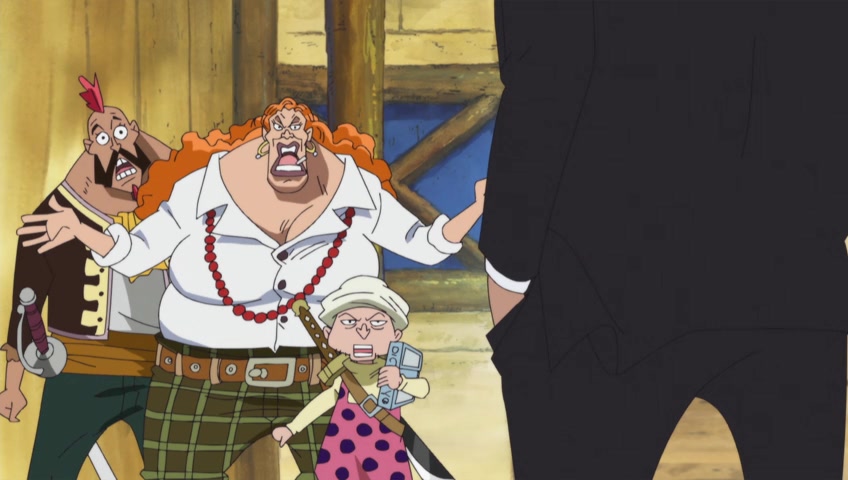 Screenshots of One Piece Episode 493