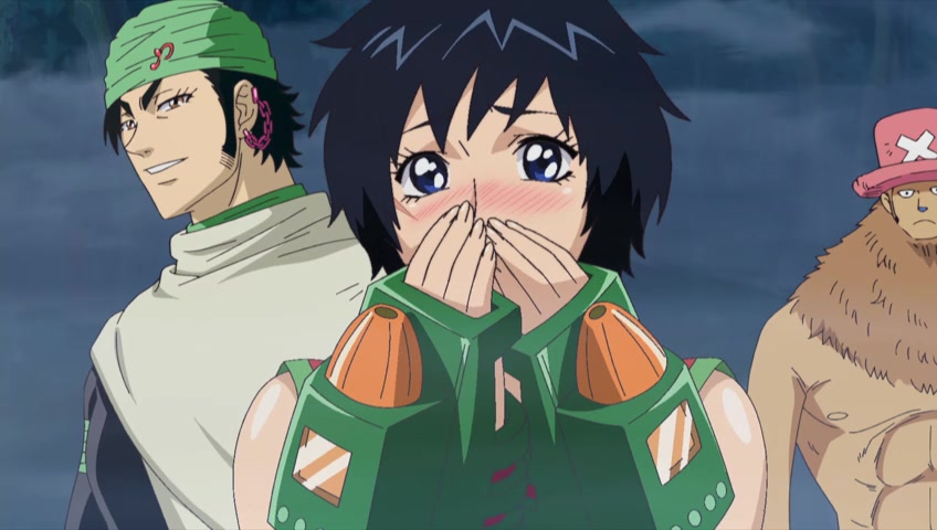 Screenshots Of One Piece Episode 492