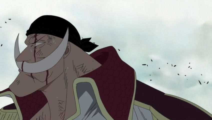Screenshots Of One Piece Episode 484