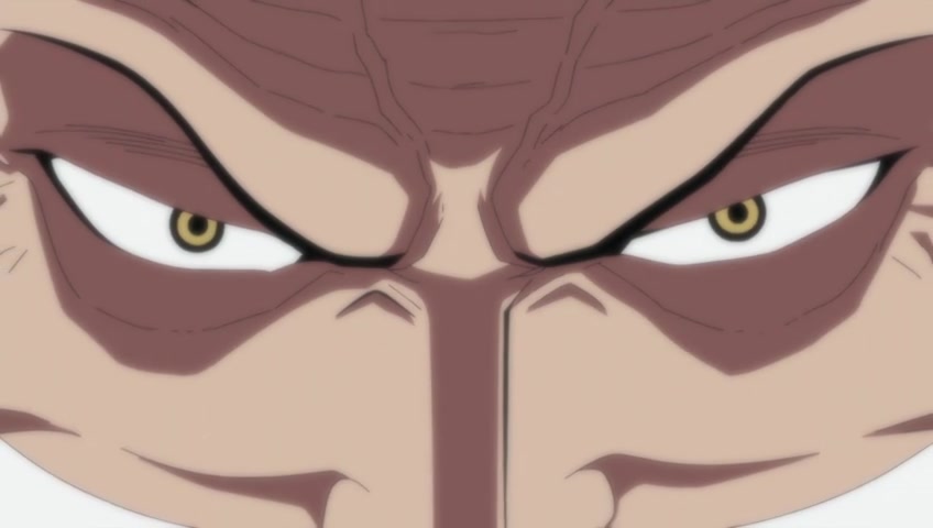 Screenshots Of One Piece Episode 463