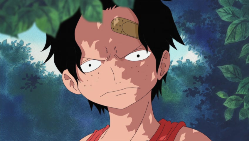 Screenshots Of One Piece Episode 460