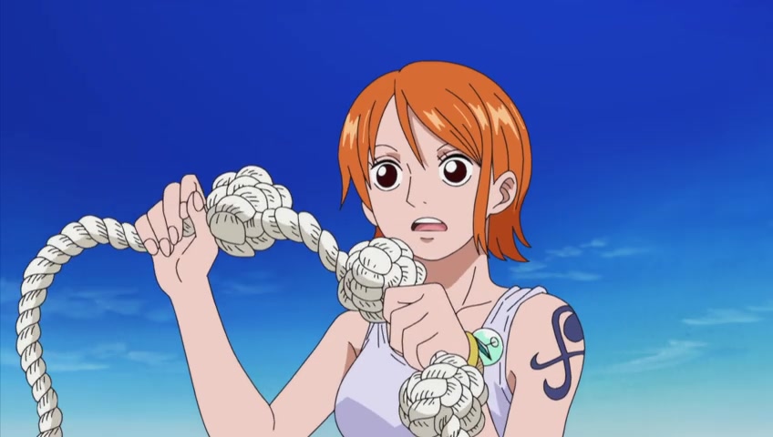 Screenshots Of One Piece Episode 453