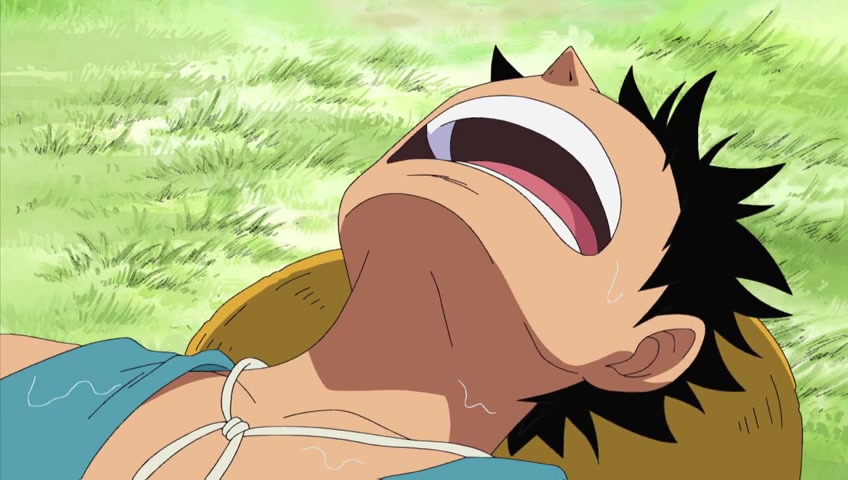 Screenshots Of One Piece Episode 410