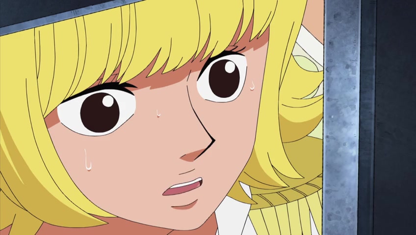 Screenshots Of One Piece Episode 409