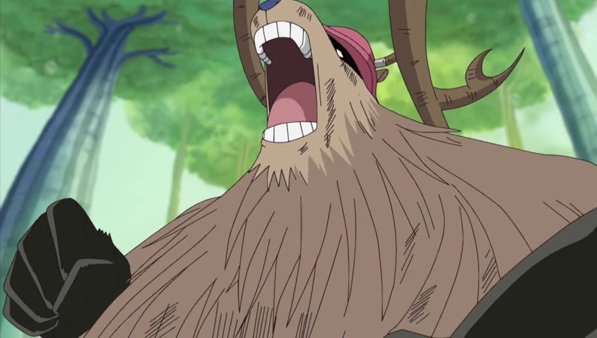 Screenshots of One Piece Episode 405