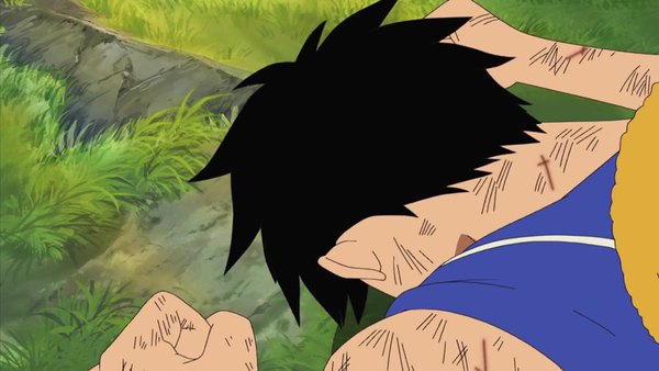 One Piece Episode 405 - Watch One Piece E405 Online