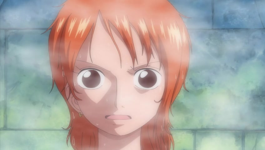 Screenshots of One Piece Episode 341