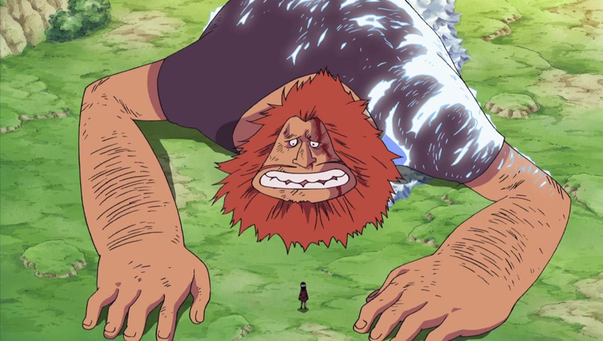 Screenshots Of One Piece Episode 301