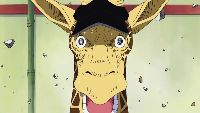 Screenshot of One Piece Season 1 Episode 286 (S01E286) .