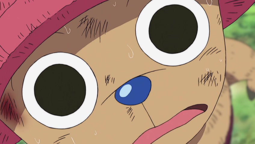 Screenshots Of One Piece Episode 165