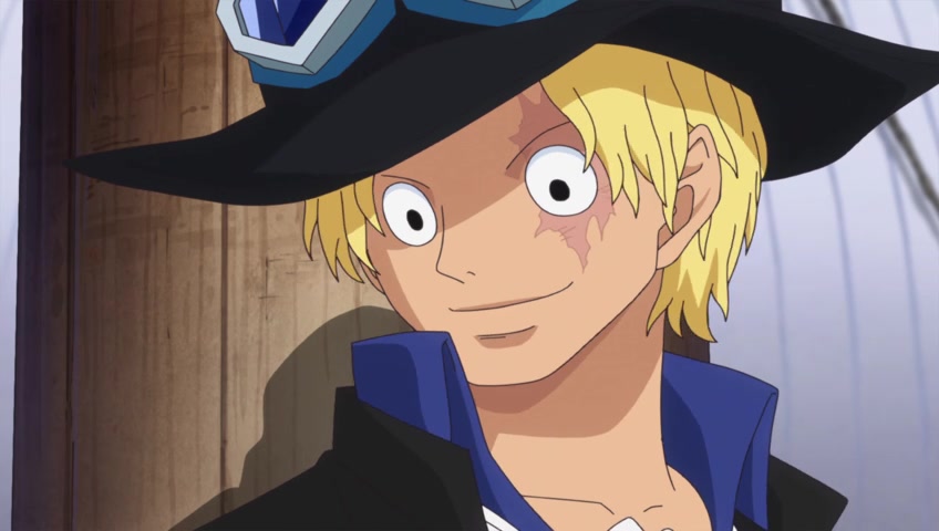 Screenshots Of One Piece Episode 738