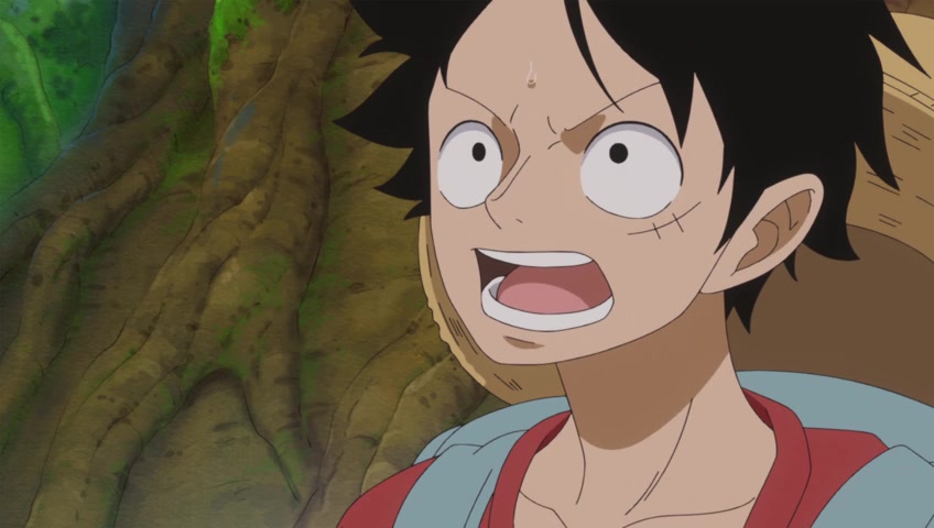 Screenshots Of One Piece Episode 754