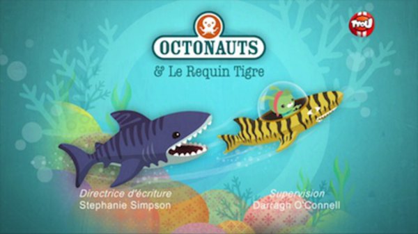 octonauts creature report tiger shark